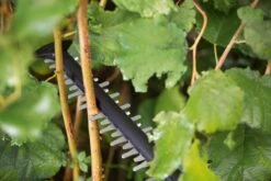 Bosch UniversalHedgeCut 18-55 Heggenschaar - Zonder 18V Accu En Oplader 9 Bosch UniversalHedgeCut 18-55 Heggenschaar - Zonder 18V Accu En Oplader -Tuinverzorgings Winkel 1200x800 192