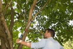 Gardena TeleCut Takkenschaar 650-900 B - Uitschuifbare Armen - Tot Max 90 Cm -Tuinverzorgings Winkel 1200x800 23