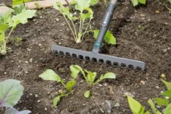 Gardena NatureLine Hark | 36 Cm | FSC 100% - 17106-20 -Tuinverzorgings Winkel 1200x800 268