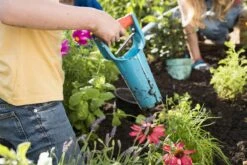 GARDENA Bollenplanter - Diepteaanduiding - Automatische Aardeloslating -Tuinverzorgings Winkel 1200x800 269