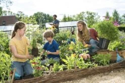 GARDENA Combisystem Bladharkje - Werkbreedte 12 Cm - 25 Jaar Garantie -Tuinverzorgings Winkel 1200x800 277