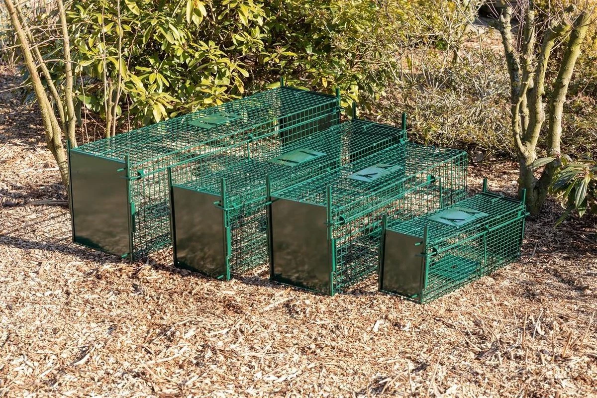 MaxxGarden Vangkooi voor dieren van 60x18x20cm - rattenval - dubbele ingang - opvouwbaar MaxxGarden Vangkooi Voor Dieren Van 60x18x20cm - Rattenval - Dubbele Ingang - Opvouwbaar -Tuinverzorgings Winkel 1200x800 305