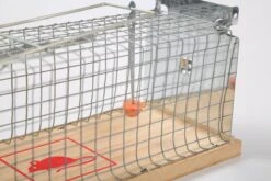 Set Van 2 Diervriendelijke Muizenval "Gabbia" - Inloopval - Muizenkooi - Ongedierteval - Ongediertebestrijding 5 Set Van 2 Diervriendelijke Muizenval "Gabbia" - Inloopval - Muizenkooi - Ongedierteval - Ongediertebestrijding -Tuinverzorgings Winkel 1200x800 309