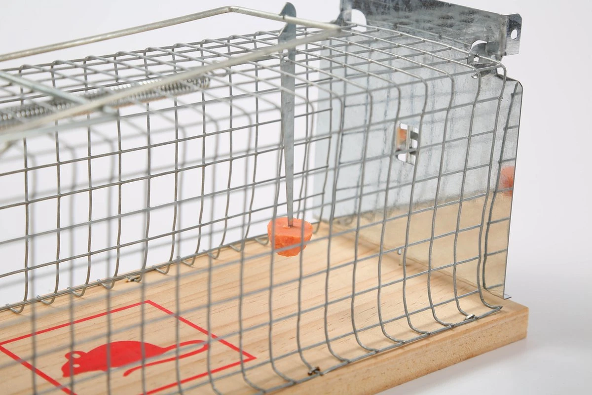 set van 2 Diervriendelijke muizenval "Gabbia" - inloopval - muizenkooi - ongedierteval - ongediertebestrijding Set Van 2 Diervriendelijke Muizenval "Gabbia" - Inloopval - Muizenkooi - Ongedierteval - Ongediertebestrijding -Tuinverzorgings Winkel 1200x800 309