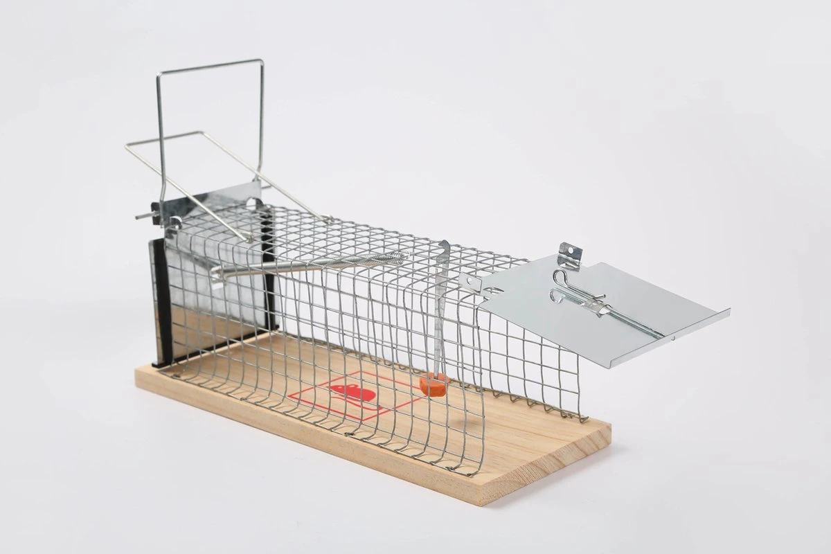 set van 2 Diervriendelijke muizenval "Gabbia" - inloopval - muizenkooi - ongedierteval - ongediertebestrijding Set Van 2 Diervriendelijke Muizenval "Gabbia" - Inloopval - Muizenkooi - Ongedierteval - Ongediertebestrijding -Tuinverzorgings Winkel 1200x800 310