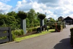 Covergreen Kant-en-klare Sedum Plantenmat 5 Covergreen Kant-en-klare Sedum Plantenmat -Tuinverzorgings Winkel 1200x800 311