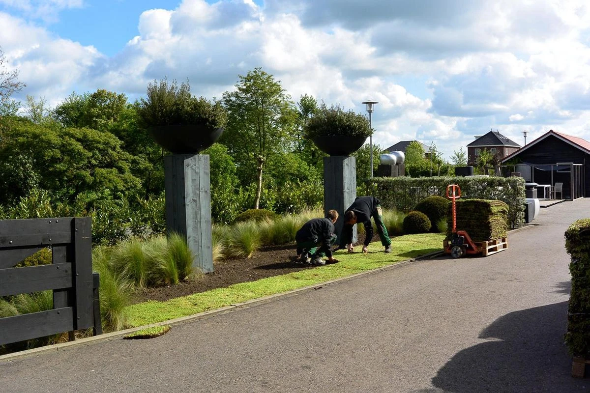 Covergreen kant-en-klare Sedum plantenmat Covergreen Kant-en-klare Sedum Plantenmat -Tuinverzorgings Winkel 1200x800 311