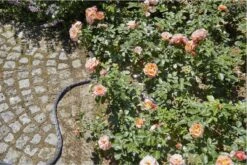 GARDENA Kraanverbindingsstuk Binnenshuis -Tuinverzorgings Winkel 1200x800 383