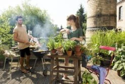 GARDENA - Terras Spiraalslang - 7.5 M Tuinslang - 9mm -Tuinverzorgings Winkel 1200x800 388