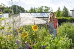 GARDENA - Comfort Broeskop - 5 Straalsoorten - Grijs 13 GARDENA - Comfort Broeskop - 5 Straalsoorten - Grijs -Tuinverzorgings Winkel 1200x800 399