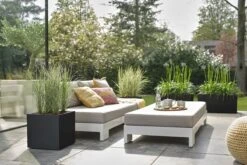 Elho Vivo Next Vierkant 30 - Plantenbak Voor Binnen & Buiten - Ø 29.5 X H 29.5 Cm - Zwart/Living Black 7 Elho Vivo Next Vierkant 30 - Plantenbak Voor Binnen & Buiten - Ø 29.5 X H 29.5 Cm - Zwart/Living Black -Tuinverzorgings Winkel 1200x800 441