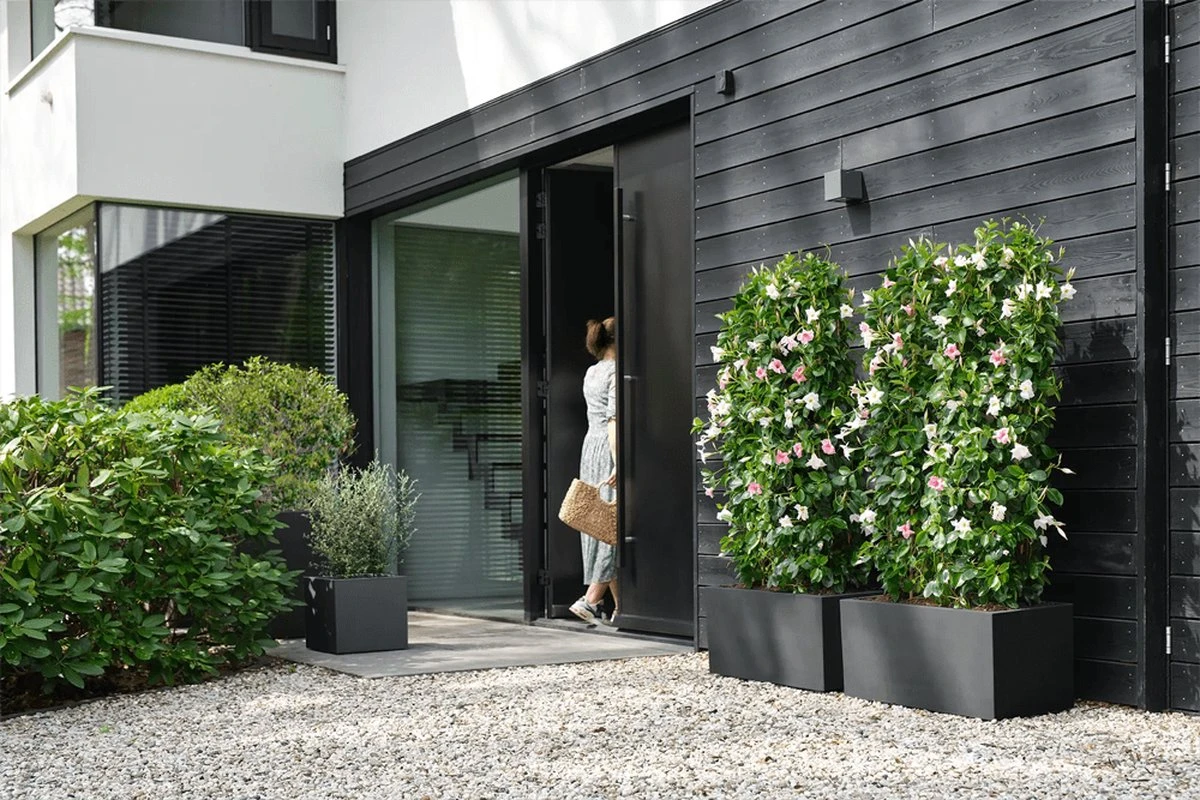 Elho Vivo Next Vierkant 30 - Plantenbak voor Binnen & Buiten - Ø 29.5 x H 29.5 cm - Zwart/Living Black Elho Vivo Next Vierkant 30 - Plantenbak Voor Binnen & Buiten - Ø 29.5 X H 29.5 Cm - Zwart/Living Black -Tuinverzorgings Winkel 1200x800 442