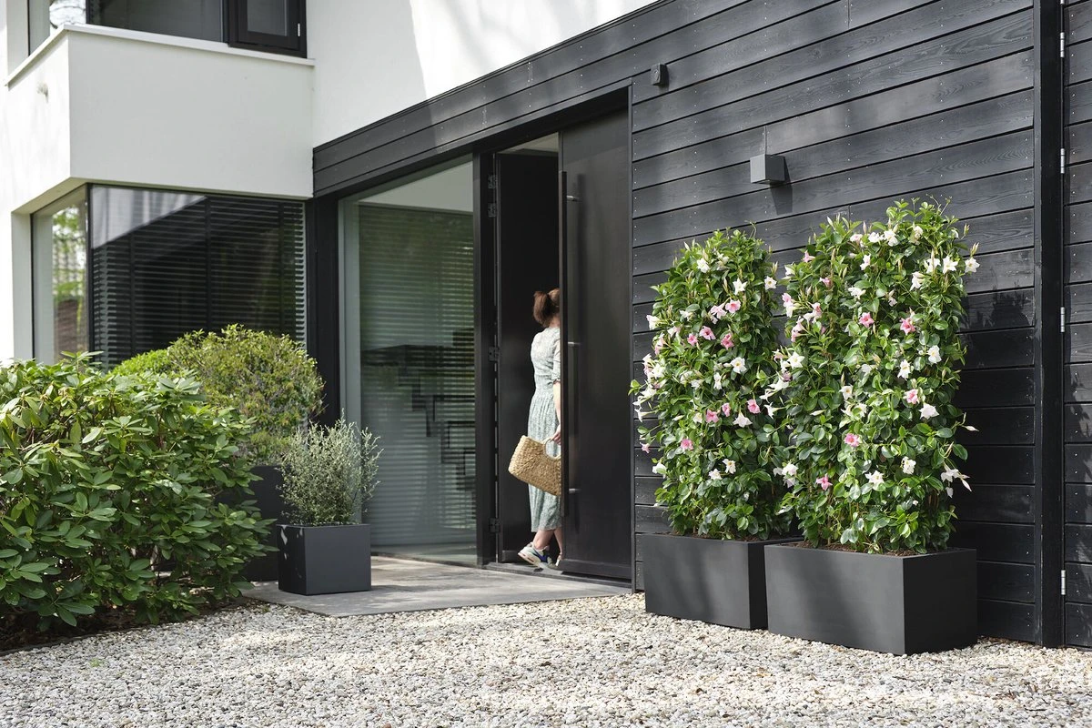 Elho Vivo Next Vierkant 40 - Plantenbak voor Binnen & buiten - Ø 39.0 x H 37.9 cm - Zwart/Living Black Elho Vivo Next Vierkant 40 - Plantenbak Voor Binnen & Buiten - Ø 39.0 X H 37.9 Cm - Zwart/Living Black -Tuinverzorgings Winkel 1200x800 446