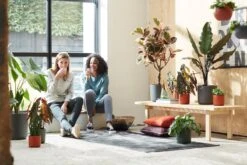 Elho B.for Soft Rond 25 - Bloempot Voor Binnen - Ø 24.7 X H 23.3 Cm - Antraciet 7 Elho B.for Soft Rond 25 - Bloempot Voor Binnen - Ø 24.7 X H 23.3 Cm - Antraciet -Tuinverzorgings Winkel 1200x800 454