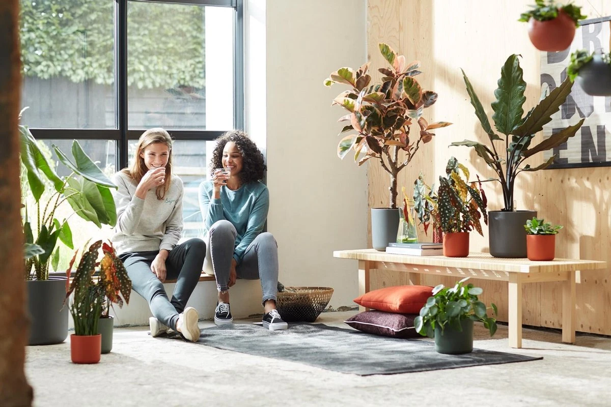 Elho B.for Soft Rond 25 - Bloempot voor binnen - Ø 24.7 x H 23.3 cm - Antraciet Elho B.for Soft Rond 25 - Bloempot Voor Binnen - Ø 24.7 X H 23.3 Cm - Antraciet -Tuinverzorgings Winkel 1200x800 454