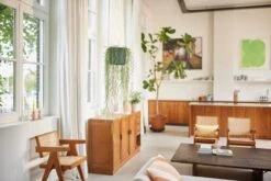 Elho B.for Swing 18 Hangpot - Bloempot Voor Binnen - Ø 18.0 X H 16.5 Cm - Groen/Blad Groen -Tuinverzorgings Winkel 1200x800 459