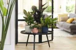 Elho Vibes Fold Rond 22 - Bloempot Voor Binnen - Ø 22.0 X H 20.2 Cm - Diepblauw 9 Elho Vibes Fold Rond 22 - Bloempot Voor Binnen - Ø 22.0 X H 20.2 Cm - Diepblauw -Tuinverzorgings Winkel 1200x800 464