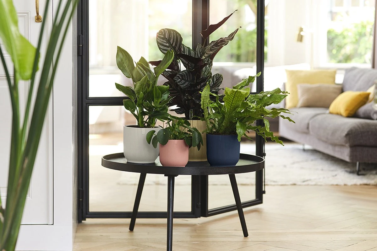 Elho Vibes Fold Rond 22 - Bloempot voor Binnen - Ø 22.0 x H 20.2 cm - Diepblauw Elho Vibes Fold Rond 22 - Bloempot Voor Binnen - Ø 22.0 X H 20.2 Cm - Diepblauw -Tuinverzorgings Winkel 1200x800 464