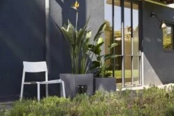 Capi Europe - Bloempot Vierkant Smooth NL - 50x50x50 - Zwart - Voor Binnen En Buiten - KBL904 9 Capi Europe - Bloempot Vierkant Smooth NL - 50x50x50 - Zwart - Voor Binnen En Buiten - KBL904 -Tuinverzorgings Winkel 1200x800 471