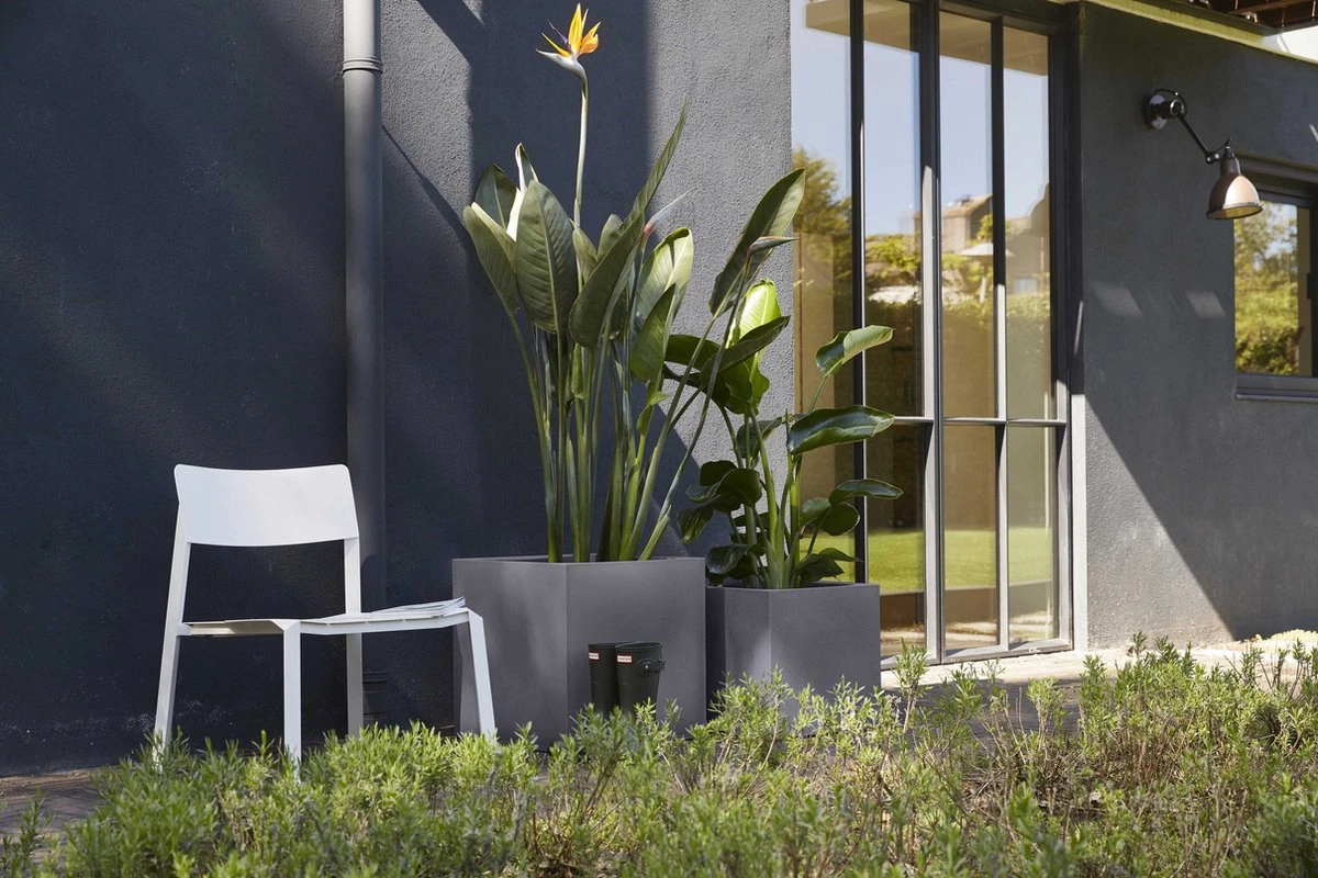 Capi Europe - Bloempot vierkant Smooth NL - 50x50x50 - Zwart - Voor binnen en buiten - KBL904 Capi Europe - Bloempot Vierkant Smooth NL - 50x50x50 - Zwart - Voor Binnen En Buiten - KBL904 -Tuinverzorgings Winkel 1200x800 471