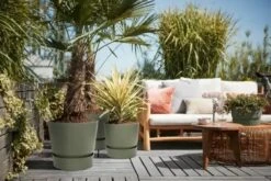 Elho Greenville Rond 30 - Grote Bloempot Voor Buiten - Gemaakt Van Gereycled Plastic - Ø 29.5 X H 27.8 Cm - Blad Groen -Tuinverzorgings Winkel 1200x801 33