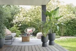 Elho Pure Coupe 35 - Bloempot Voor Binnen & Buiten - Ø 34.9 X H 49.0 Cm - Zwart/Zwart -Tuinverzorgings Winkel 1200x805 2