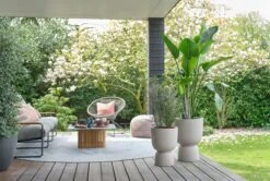 Elho Pure Coupe 35 - Bloempot Voor Binnen & Buiten - Ø 34.9 X H 49.0 Cm - Beige/Balanced Beige -Tuinverzorgings Winkel 1200x808 6