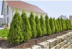 GARDENA Micro Drip System Startset L Druppelsysteem - 50 Meter 4 GARDENA Micro Drip System Startset L Druppelsysteem - 50 Meter -Tuinverzorgings Winkel 1200x814 2