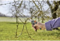 GARDENA - ExpertCut - Snoeischaar - 22 Diameter Tak 17 GARDENA - ExpertCut - Snoeischaar - 22 Diameter Tak -Tuinverzorgings Winkel 1200x815