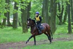 Aqua2Go GD86 Staand Electrische Pressure Washer - 20 Liter Tank - Afneembare Pomp -Tuinverzorgings Winkel 1200x817 1