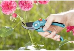 GARDENA - Classic B/S-M Bypass Snoeischaar - Ø 22mm - 25 Jaar Garantie -Tuinverzorgings Winkel 1200x820 1