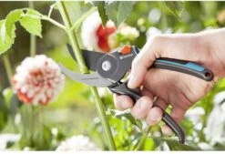 GARDENA Comfort B/M Bypass Snoeischaar - Ø 24mm - Met Sapgeul -Tuinverzorgings Winkel 1200x822