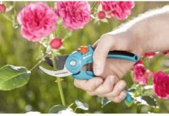 GARDENA - Classic B/S-M Bypass Snoeischaar - Ø 22mm - 25 Jaar Garantie -Tuinverzorgings Winkel 1200x825 12