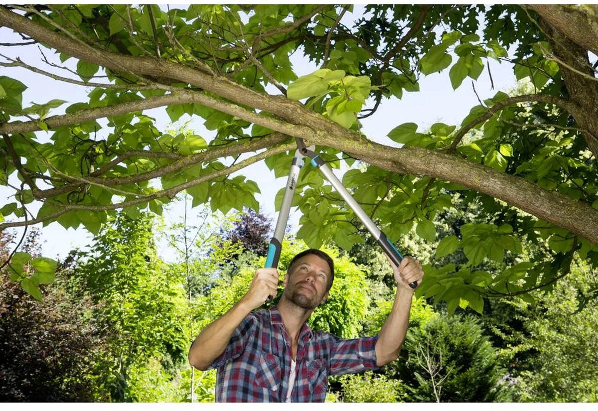 Gardena EasyCut takkenschaar 68B + Classic snoeischaar 8754 display 1stuk 12003-30 Gardena EasyCut Takkenschaar 68B + Classic Snoeischaar 8754 Display 1stuk 12003-30 -Tuinverzorgings Winkel 1200x825 14