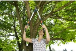 GARDENA - TeleCut Telescopische - Takkenschaar 520-670B - 42 Mm Verstelbare Lengte -Tuinverzorgings Winkel 1200x825 17