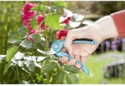 GARDENA 08853-20 Gardena Tuinschaar -Tuinverzorgings Winkel 1200x825 7