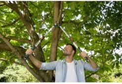 Gardena TeleCut Takkenschaar 650-900 B - Uitschuifbare Armen - Tot Max 90 Cm -Tuinverzorgings Winkel 1200x826