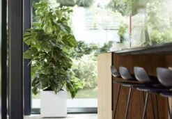 Elho Vivo Matt Finish Vierkant Wielen 40 - Grote Plantenbak Voor Binnen & Buiten - Gemaakt Van Gereycled Plastic - L 39 X W 39 X H 41 Cm - Wit 6 Elho Vivo Matt Finish Vierkant Wielen 40 - Grote Plantenbak Voor Binnen & Buiten - Gemaakt Van Gereycled Plastic - L 39 X W 39 X H 41 Cm - Wit -Tuinverzorgings Winkel 1200x832 2