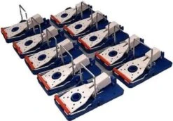 Tuinverzorgings Winkel 19 10 X Herbruikbare En Humane Muizenvallen Voor Binnen En Buiten - Muizenval