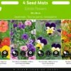 Buzzy® Zaadmatjes Eetbare Bloemen - 4 Matjes