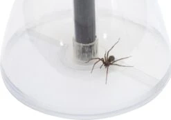 Spinnenvanger Bug Away Met 35 Cm Lange Steel -Tuinverzorgings Winkel 1200x844 3