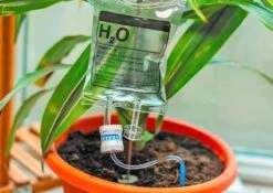 Plant Infuus H2o - Waterdruppelaar - Automatisch Bewateringssysteem Planten - Druppelirrigatie - Transparant - 350ml 3 Plant Infuus H2o - Waterdruppelaar - Automatisch Bewateringssysteem Planten - Druppelirrigatie - Transparant - 350ml -Tuinverzorgings Winkel 1200x852 4
