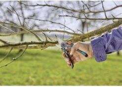 GARDENA - ExpertCut - Snoeischaar - 22 Diameter Tak 16 GARDENA - ExpertCut - Snoeischaar - 22 Diameter Tak -Tuinverzorgings Winkel 1200x859 1