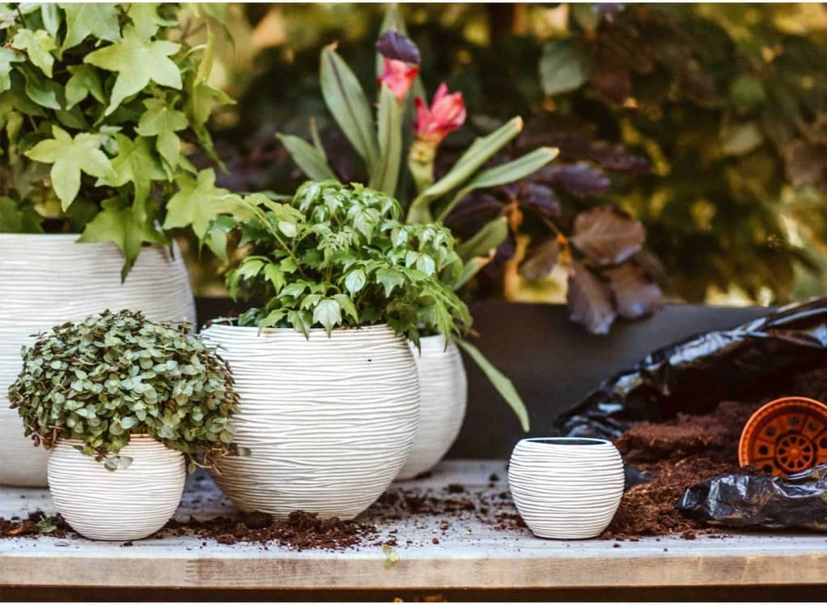 Capi Europe - Set van 3 - Bloempot binnen - Rib ivoor Capi Europe - Set Van 3 - Bloempot Binnen - Rib Ivoor -Tuinverzorgings Winkel 1200x878 3