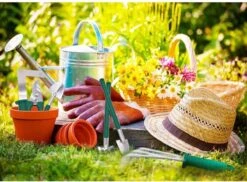 Tuingereedschap Set Tuinierset 10 Delig - Snoeischaar Tuinschaar Bloemenschaar Tuinschepje Plantenspuit Handhark -Tuinverzorgings Winkel 1200x885 2