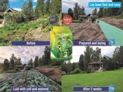 Graszaadmat - Graszaden - Gras Reparatie - Gras Aanleg - Gras Herstel - Graszaad Op Rol - Grasrol - Zeer Gemakkelijk In Gebruik - Biologisch Gras - 0,90X11,1=9,99m2 -Tuinverzorgings Winkel 1200x899 31