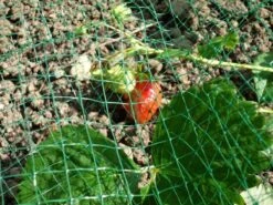 Merkloos Extra Sterk Groen Vogelnet – 5 X 4 Meter – Maaswijdte 30 Mm | Tuinnet Vogels -Tuinverzorgings Winkel 1200x900 55