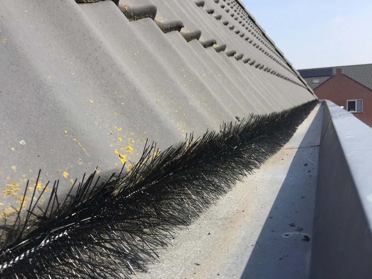 Vogelweringborstel en dakgootbeschermer - doos 16 stuks - totaal 16 meter - Ø 15 CM - Anti vogel borstels - Vogelwering zonnepanelen - dakgootegel Vogelweringborstel En Dakgootbeschermer - Doos 16 Stuks - Totaal 16 Meter - Ø 15 CM - Anti Vogel Borstels - Vogelwering Zonnepanelen - Dakgootegel -Tuinverzorgings Winkel 1200x900 58