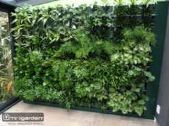 Minigarden Vertical Verticale Tuin - Zwart 5 Minigarden Vertical Verticale Tuin - Zwart -Tuinverzorgings Winkel 1200x900 93