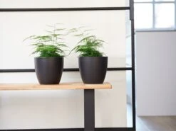 Plantenpot/bloempot In Een Strakke Scandinavische Look Zwart Dia 20 Cm En Hoogte 19 Cm Glanzend -Tuinverzorgings Winkel 1200x900 96